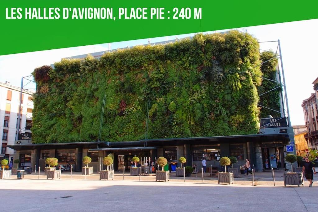 Studio Tout Confort - Intra-Muros - Plein Centre Avignon Eksteriør billede