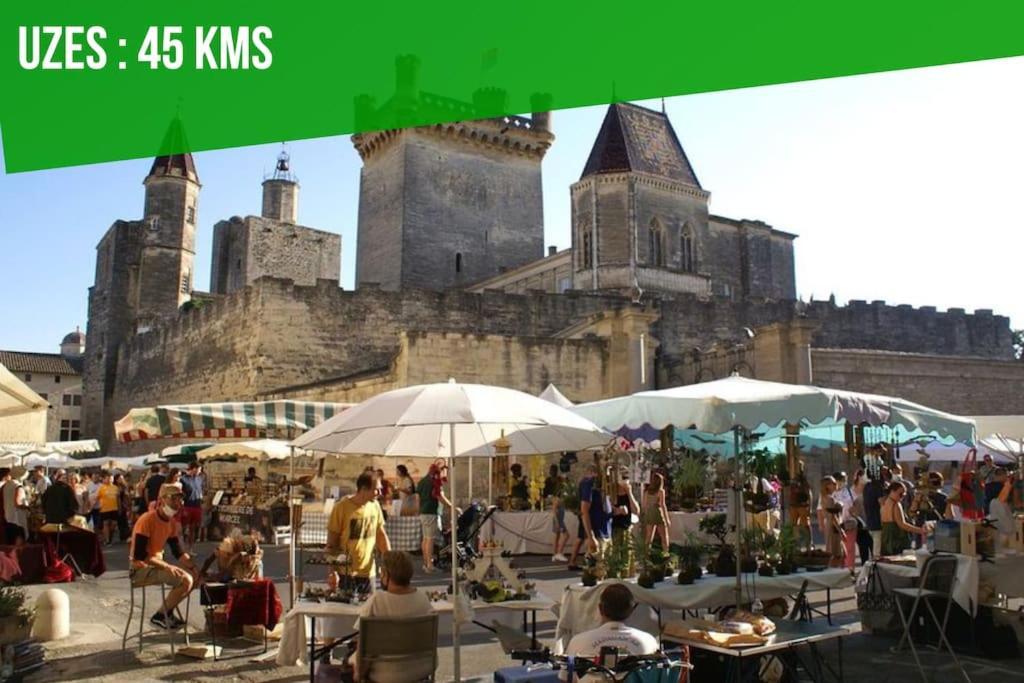 Studio Tout Confort - Intra-Muros - Plein Centre Avignon Eksteriør billede